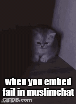 A Kitten Is Sitting In A Dark Room With The Words When You Embed Fail In Muslimchat GIF