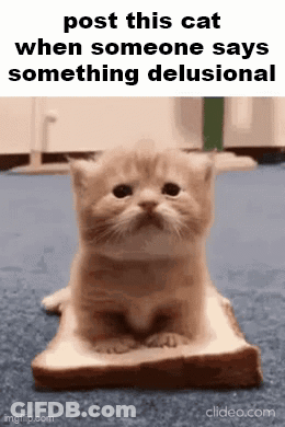 A Kitten Is Sitting On A Piece Of Bread With The Caption " Post This Cat When Someone Says Something Delusional " GIF