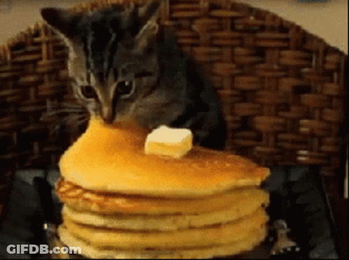 A Kitten Is Sitting On A Stack Of Pancakes With Butter On Top GIF