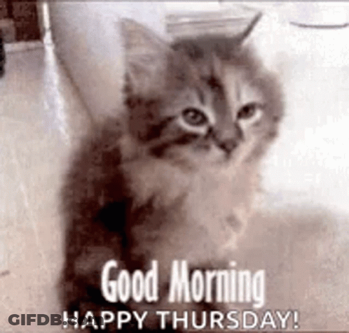 A Kitten Is Sitting On A Table With The Words `` Good Morning Happy Thursday '' . GIF