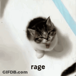 A Kitten Is Sitting On A White Surface And The Word Rage Is On The Bottom GIF