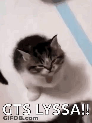 Kitten Sitting On White Surface Gts Lyssa GIF