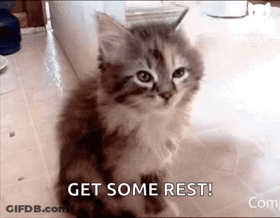 A Kitten Is Sitting On The Floor With The Words `` Get Some Rest '' Written On It . GIF