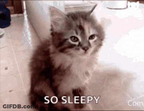 A Kitten Is Sitting On The Floor With The Words `` So Sleepy '' Written Below It . GIF