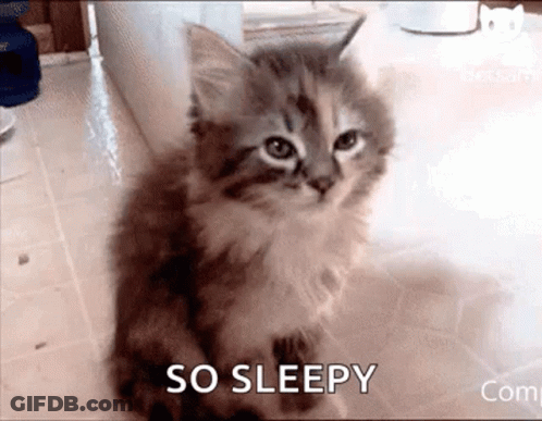 A Kitten Is Sitting On The Floor With The Words `` So Sleepy '' Written Next To It . GIF