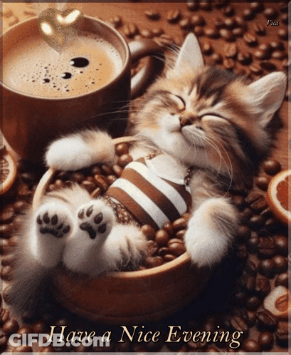A Kitten Is Sleeping In A Bowl Of Coffee Beans With A Cup Of Coffee In The Background GIF