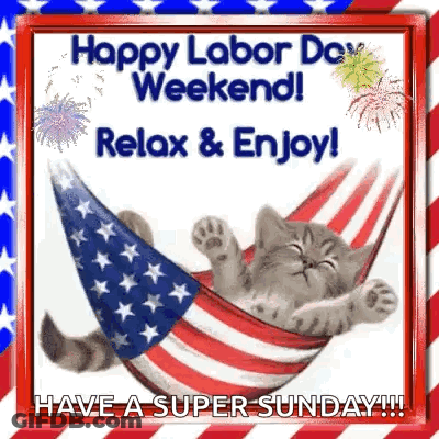 A Kitten Is Sleeping In A Hammock With An American Flag On It . GIF