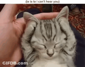 A Kitten Is Sleeping In A Person 'S Hand And Covering Its Eyes With Its Paws . GIF