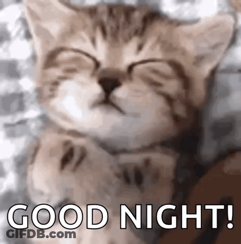 A Kitten Is Sleeping On A Bed With Its Eyes Closed And The Words `` Good Night '' Written Below It . GIF