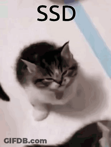 Sleeping Kitten With SSD Text GIF