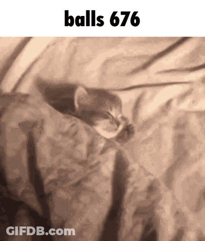 A Kitten Is Sleeping On A Blanket With The Words `` Balls 676 '' Written Above It . GIF