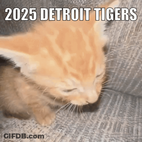 A Kitten Is Sleeping On A Couch With 2025 Detroit Tigers Written On The Bottom GIF