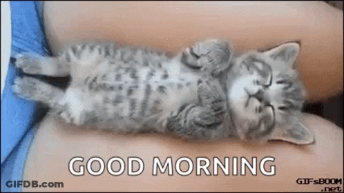A Kitten Is Sleeping On Its Back On A Person 'S Lap With The Words `` Good Morning '' Below It . GIF
