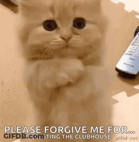 A Kitten Is Standing On Its Hind Legs And Asking For Forgiveness While A Remote Control Is In The Background . GIF