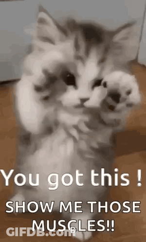 A Kitten Is Standing On Its Hind Legs On A Wooden Floor And Giving A Thumbs Up . GIF