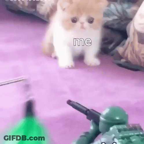 A Kitten Is Walking On A Purple Carpet Next To A Toy Soldier And A Green Bottle . GIF