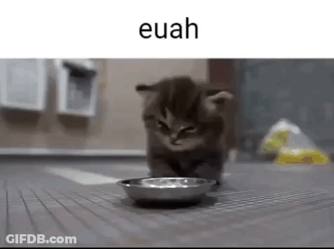 A Kitten Is Walking Towards A Bowl Of Food . GIF