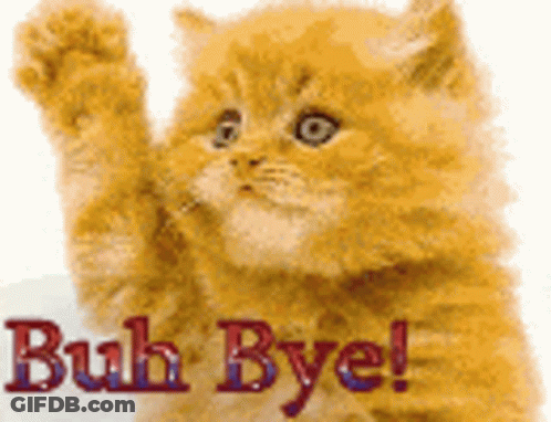 A Kitten Is Waving Its Paw With The Words Buh Bye Written Above It . GIF