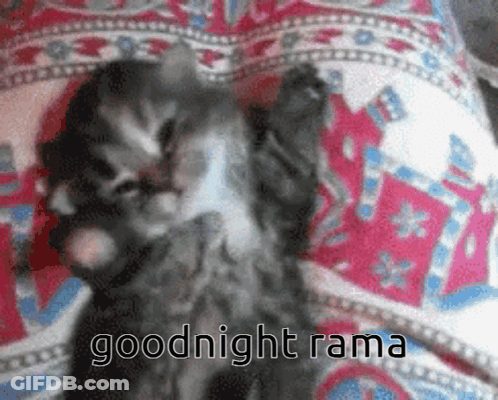 A Kitten Laying On A Bed With The Words Goodnight Rama Written On The Bottom GIF
