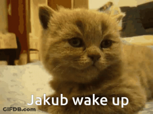 A Kitten Laying On A Bed With The Words " Jakub Wake Up " On The Bottom GIF
