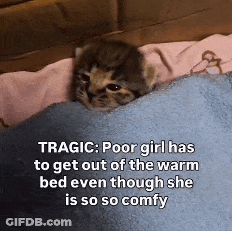 A Kitten Laying Under A Blanket With A Caption That Says Tragic GIF