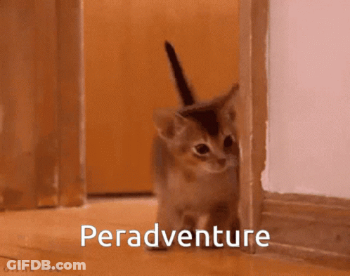 A Kitten Peeking Out From Behind A Door With The Word Peradventure Written On The Bottom GIF