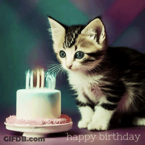 A Kitten Sitting In Front Of A Birthday Cake With The Words Happy Birthday Written Below It GIF