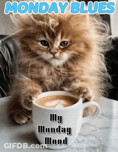 A Kitten Sitting Next To A Cup Of Coffee That Says Monday Blues On It GIF