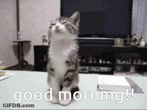 A Kitten Sitting On A Table With The Words " Good Morning " Written On It GIF