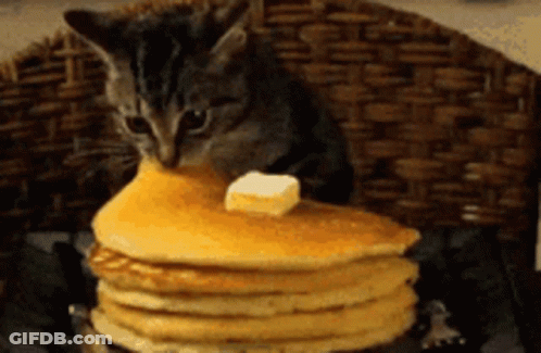 A Kitten Sitting On Top Of A Stack Of Pancakes With Butter On It GIF