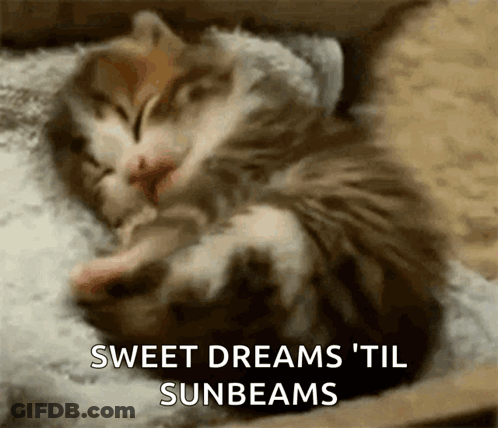 A Kitten Sleeping On A Pillow With The Words Sweet Dreams Til Sunbeams GIF