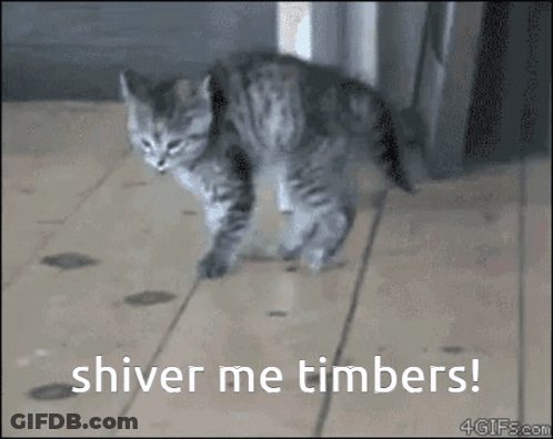 A Kitten Walking On A Wooden Floor With The Words Shiver Me Timbers GIF