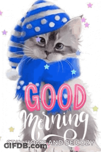 A Kitten Wearing A Blue Hat And Scarf Is Wearing A Good Morning Greeting Card . GIF