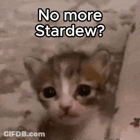 A Kitten Wearing A Hat With The Words `` No More Stardew '' On It . GIF