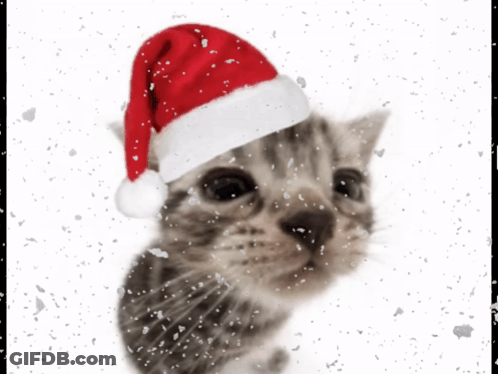 A Kitten Wearing A Santa Hat Is Surrounded By Snow GIF