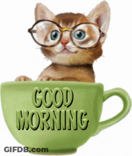 A Kitten Wearing Glasses Is Sitting In A Cup That Says Good Morning GIF