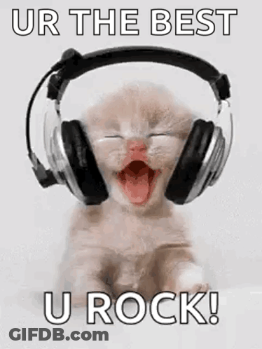 A Kitten Wearing Headphones With Its Mouth Open Is Screaming . GIF