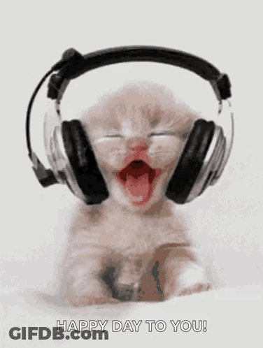 A Kitten Wearing Headphones With Its Mouth Wide Open GIF