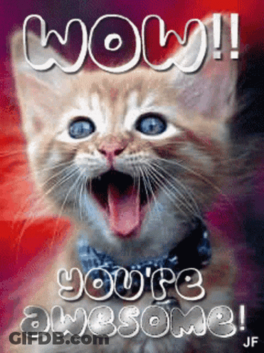 A Kitten With Its Mouth Open And The Words Wow You 'Re Awesome Written Above It GIF