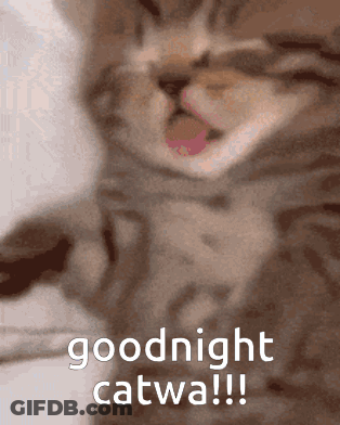 A Kitten With Its Tongue Out And The Words Goodnight Catwa !!! GIF