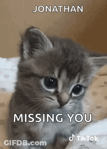 A Kitten With The Words Jonathan Missing You On It 'S Face GIF