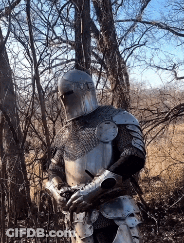 A Knight In Armor Is Standing In A Field With Trees In The Background GIF