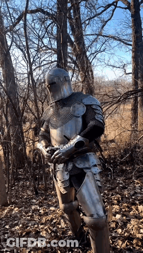 A Knight In Armor Is Standing In A Forest GIF