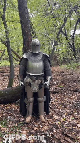 A Knight In Armor Is Standing In The Middle Of A Forest GIF