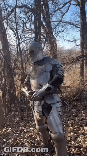 A Knight In Armor Is Standing In The Woods GIF