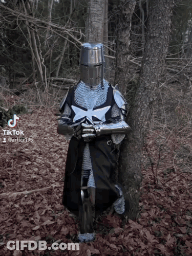 A Knight Leaning Against A Tree In The Woods With Tiktok Written On The Bottom Right GIF