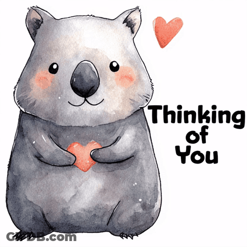 A Koala Bear Holding A Heart With The Words Thinking Of You Behind It GIF