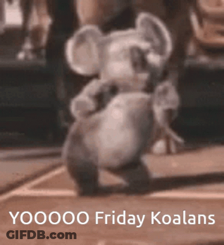 A Koala Bear Is Dancing With The Words Yoooo Friday Koalans Written Below It GIF