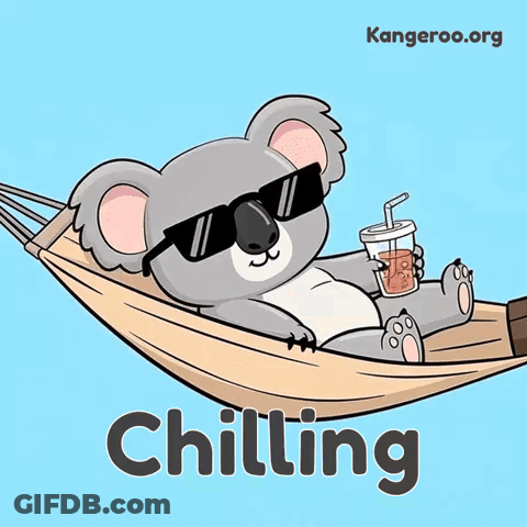 A Koala Wearing Sunglasses Is Laying In A Hammock GIF