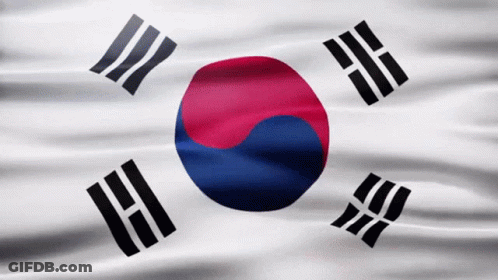 A Korean Flag With A Red Blue And White Circle GIF